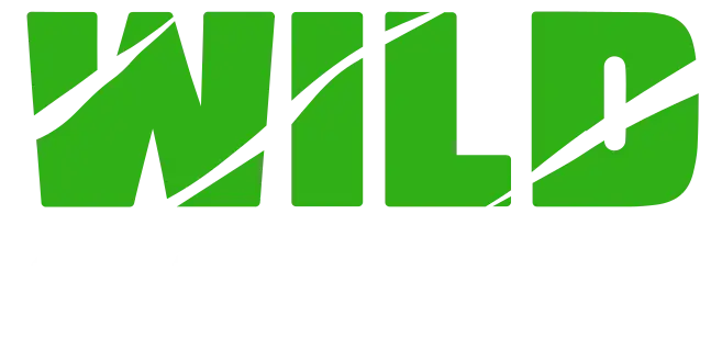 wild-casino-logo